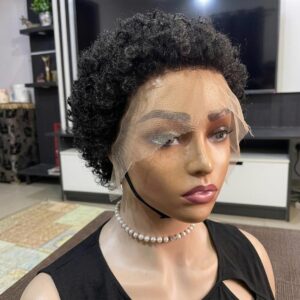 Natural 4C Afro Wig