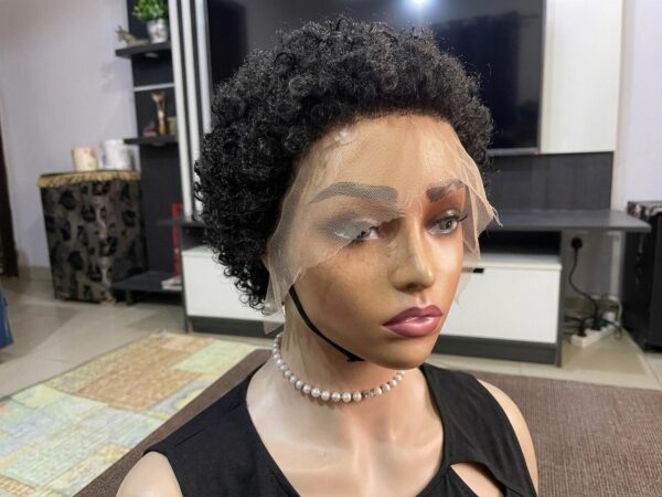 Natural 4C Afro Wig